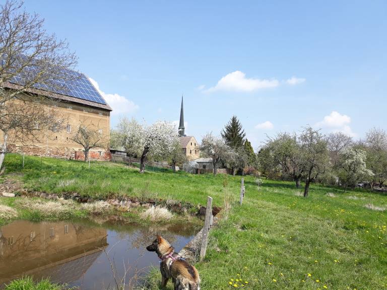 Bauernhof Glauchau