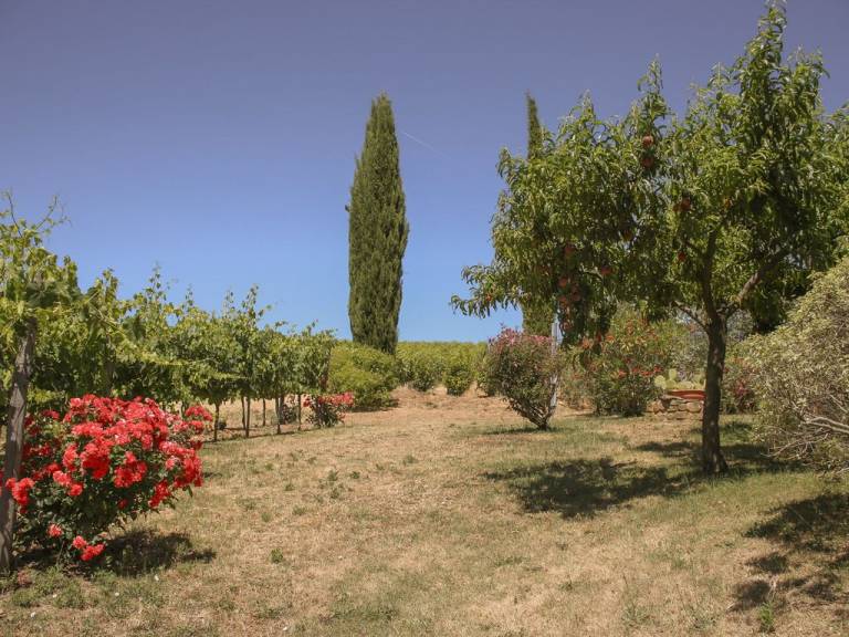foto23