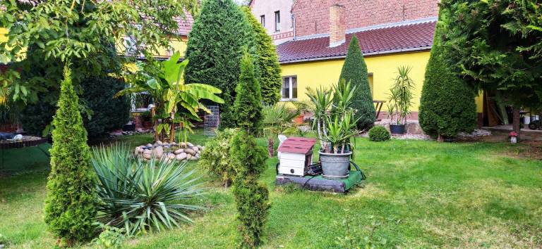 Ferienwohnung Diensdorf-Radlow