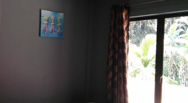 foto31