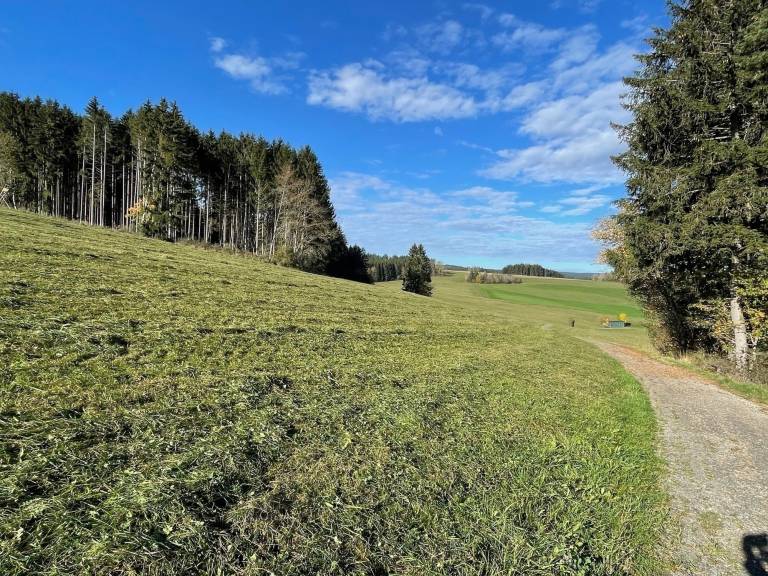 foto21
