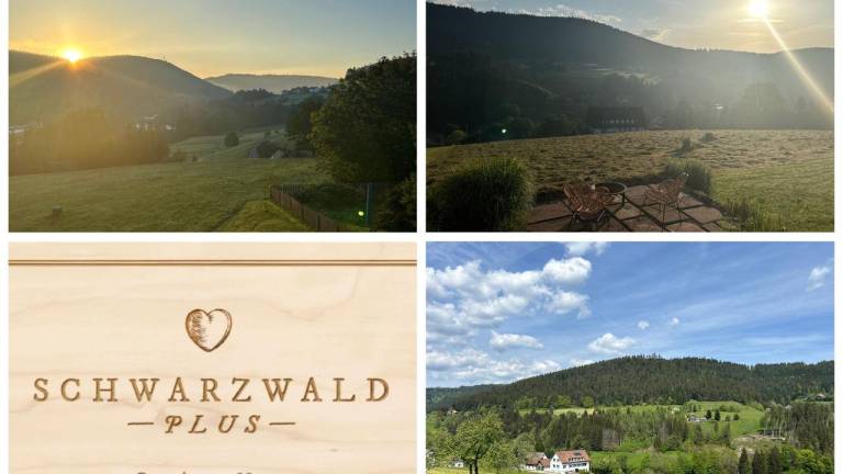 Ferienwohnung  Baiersbronn