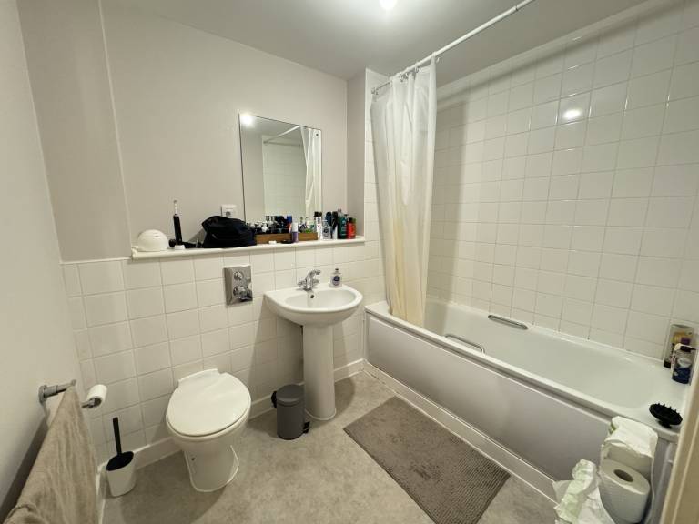 foto2