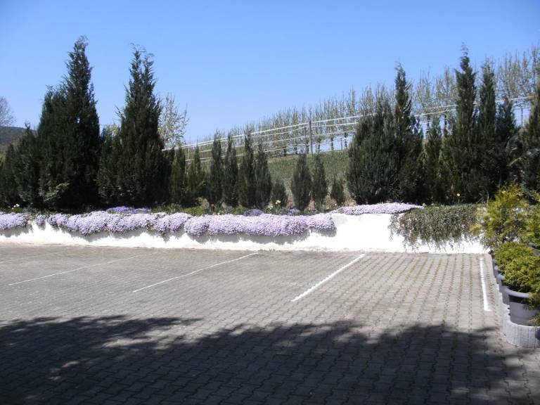 foto17