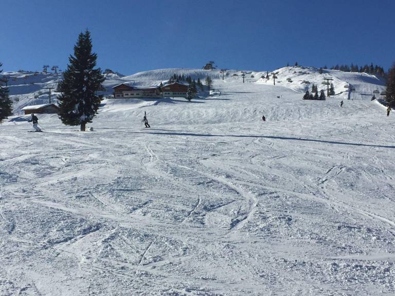 foto4