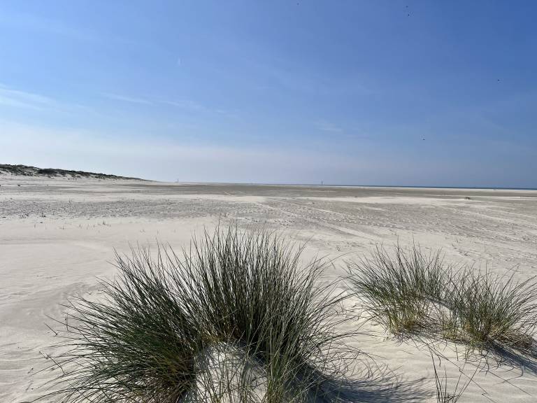 Ferienwohnung Norderney