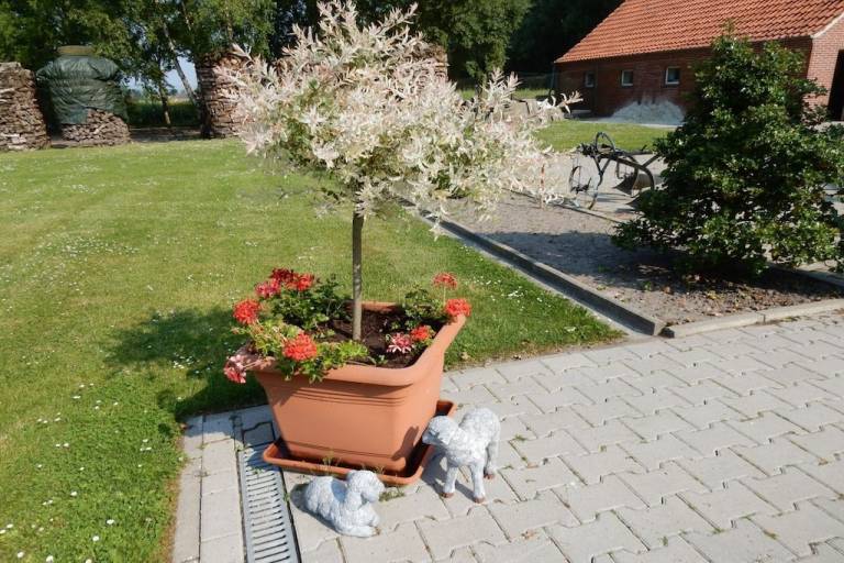 foto4