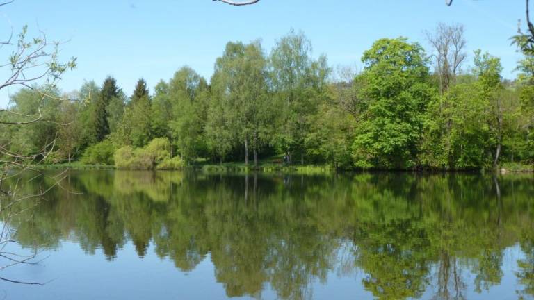 Ferienwohnung  Kempten (Allgäu)