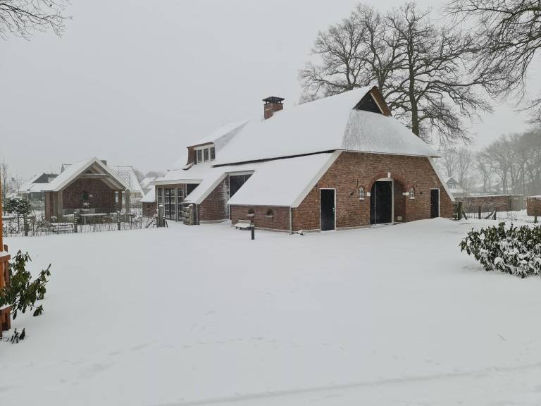 foto14