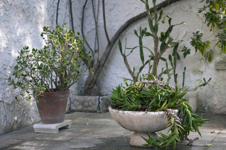 Apartment with garden | Sea view — photo 5