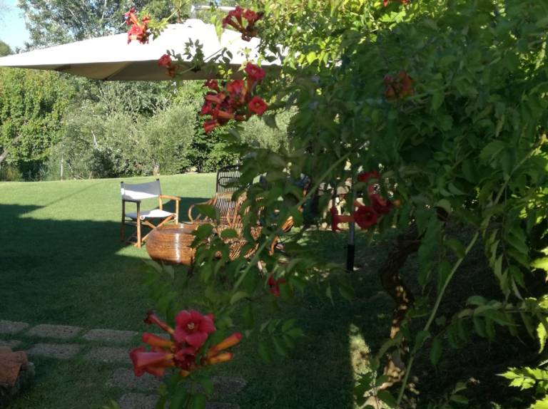 foto42