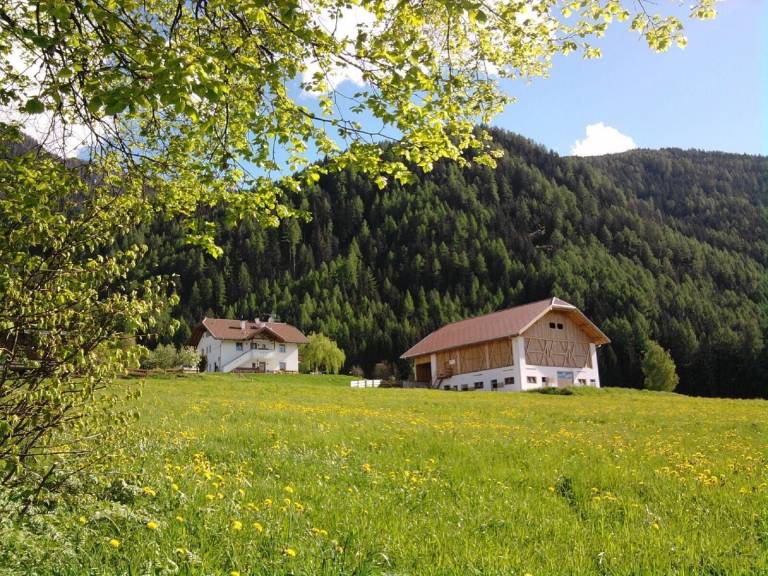 Ferienhaus  Reischach