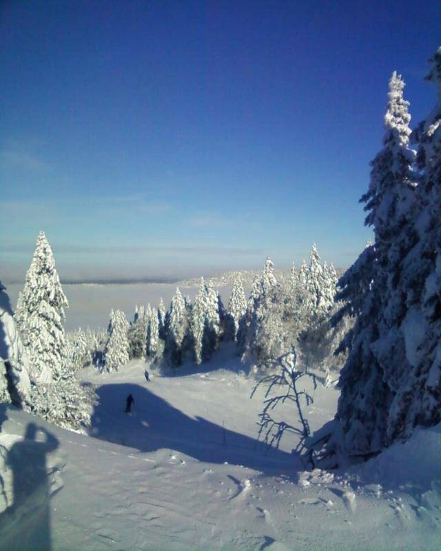 foto15
