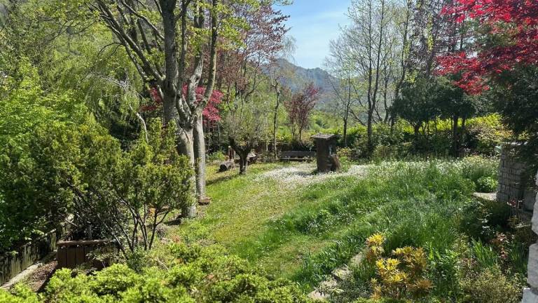 foto18