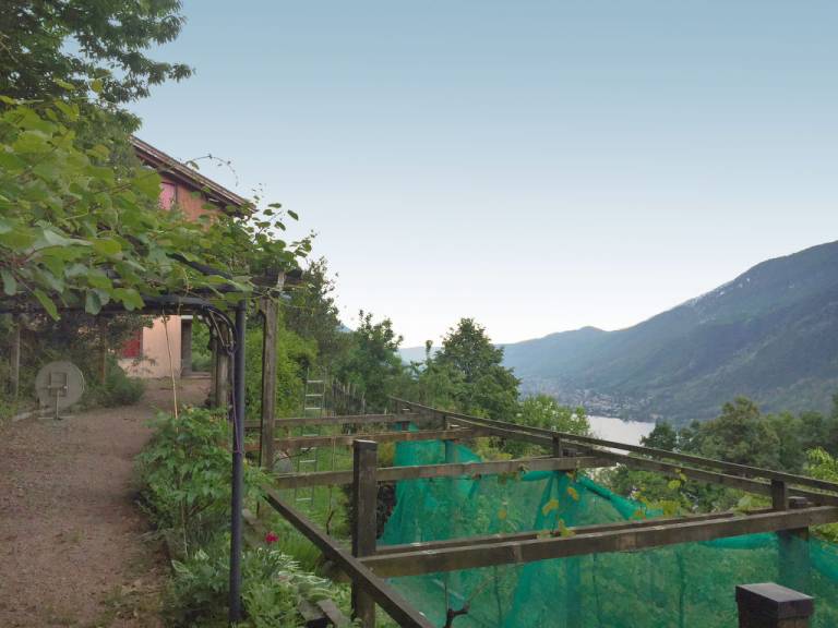 foto12