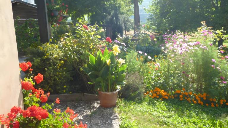 foto24