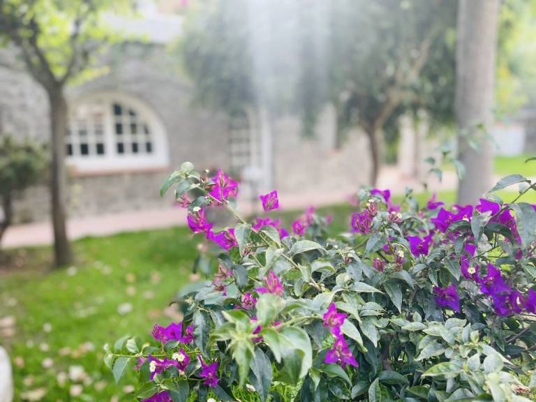 Villa Forio