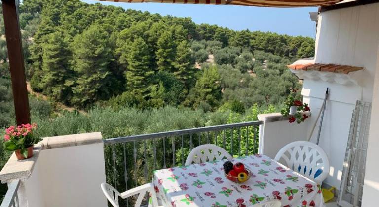 Apartment with garden, terrace & barbeque — photo 3