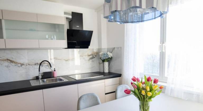 Wonderful rental apartment | Near Metelkova | Dogs allowed in Ljubljana