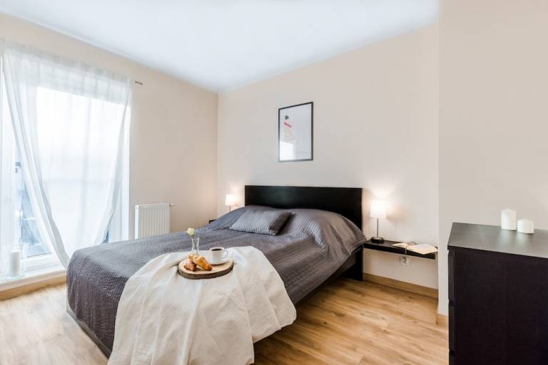 Apartament Wyspa Spichrzów