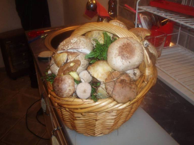 foto48