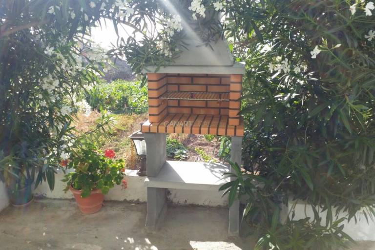 foto19