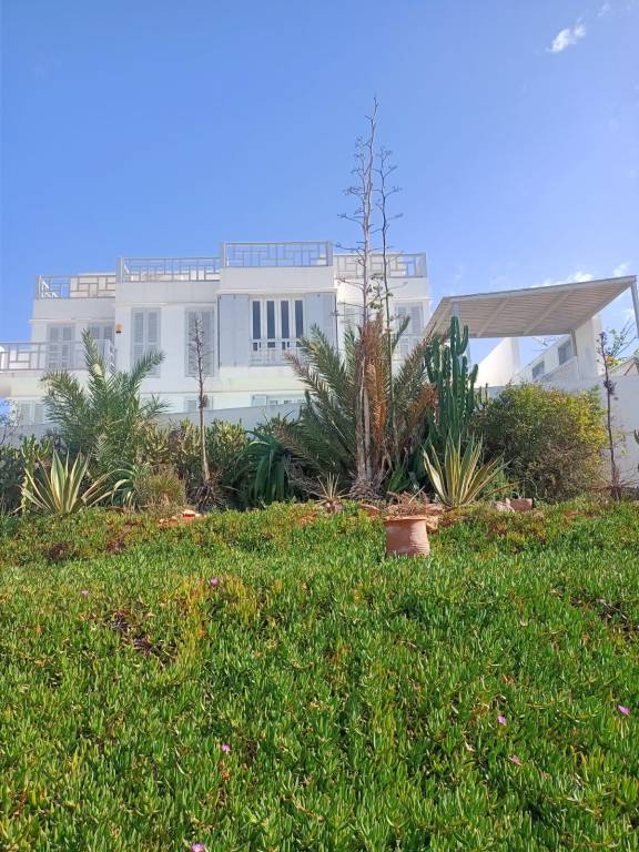 foto1