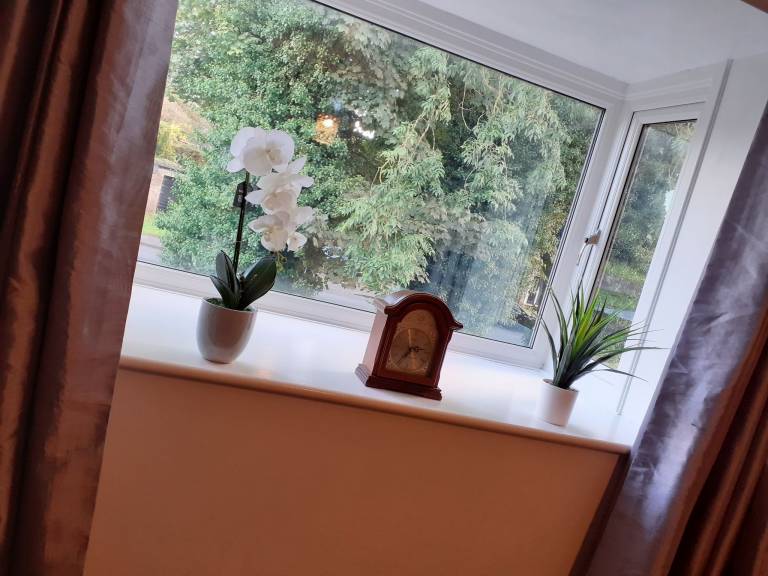 foto20