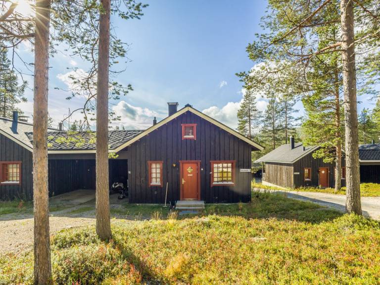 Ferienhaus Levi