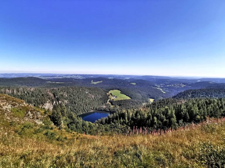 foto17