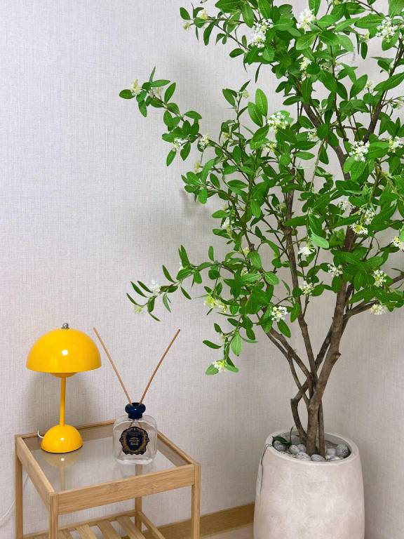 foto11