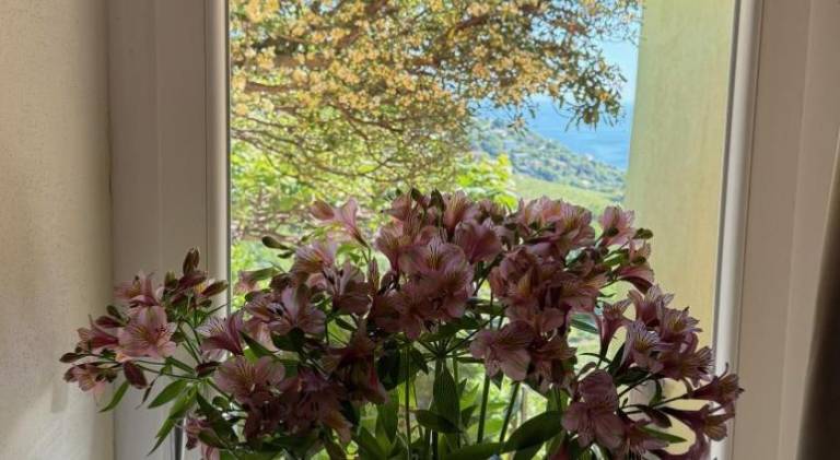 Rental apartment with 1 room for 4 persons in Lavagna