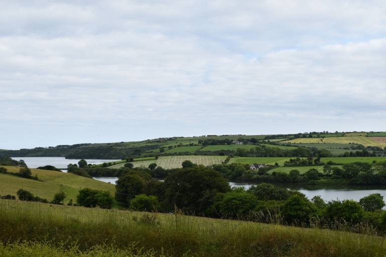 Ferienhaus Kinsale