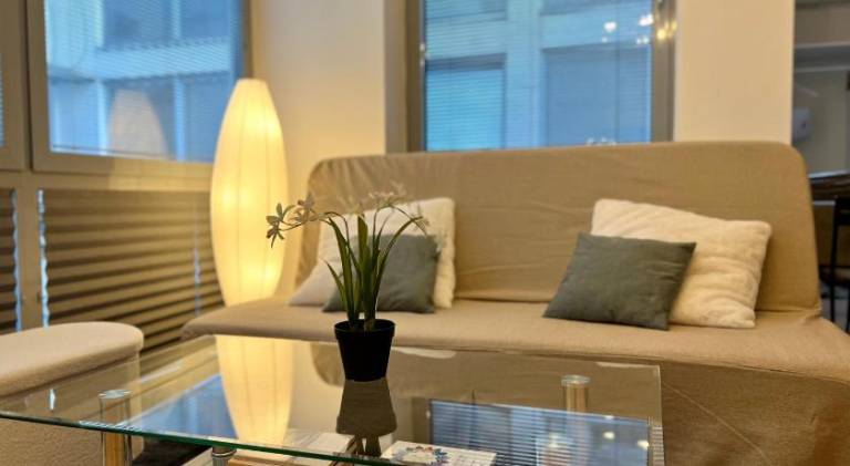 Pleasant rental apartment | Near Hlavné námestie | Suitable for remote work | Pet-friendly in Bratislava