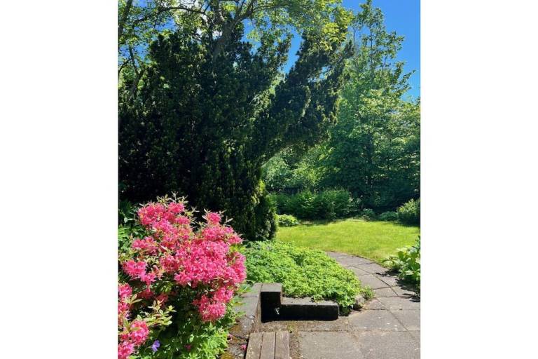 House with yard, patio & barbecue | Pets are welcome — photo 2