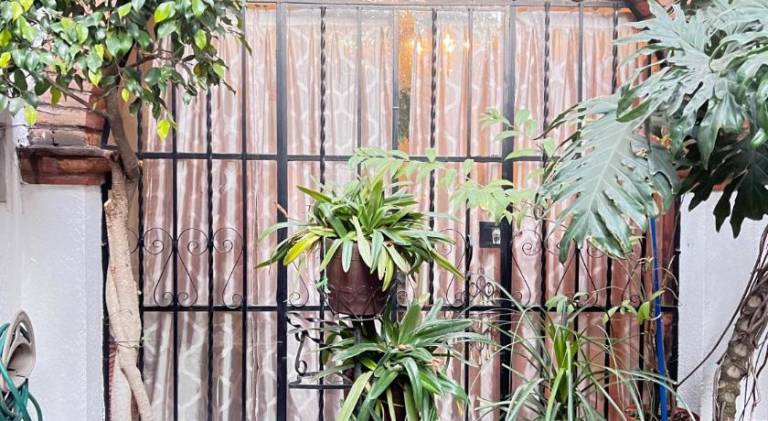 Vacation home | Pets allowed in Mexico City