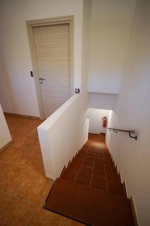 foto7