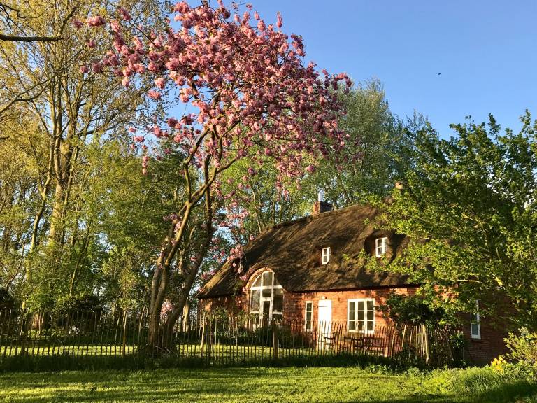foto27