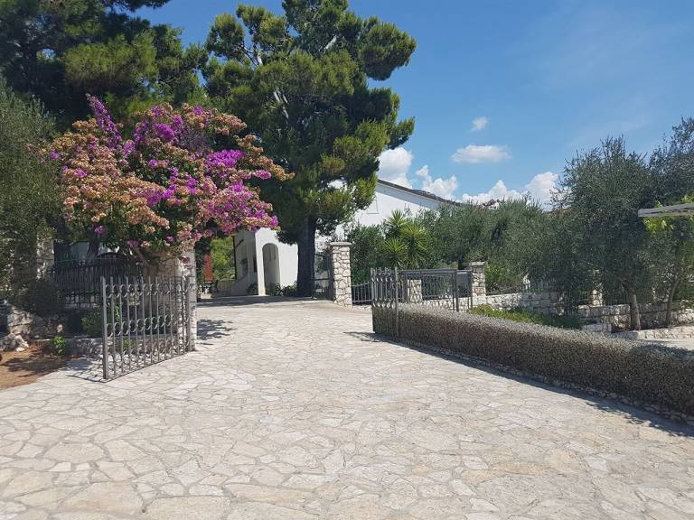foto12