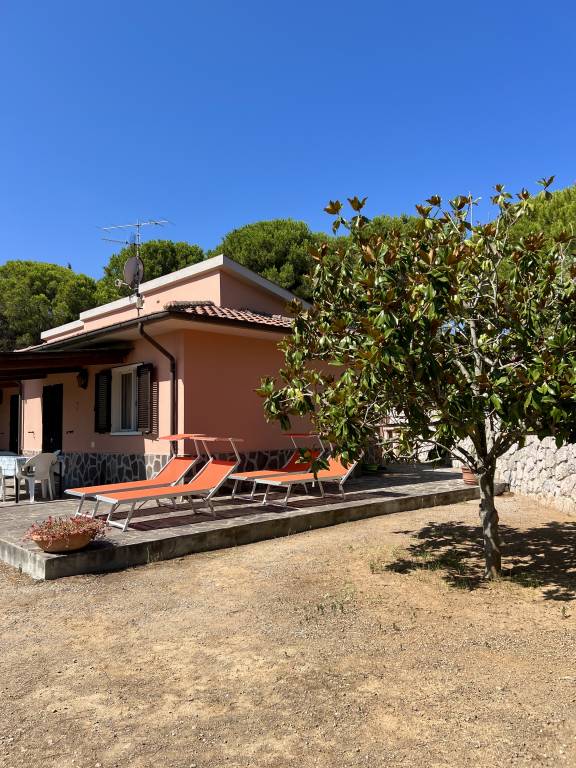 Wohnung mit Garten und Grill | Gartenblick