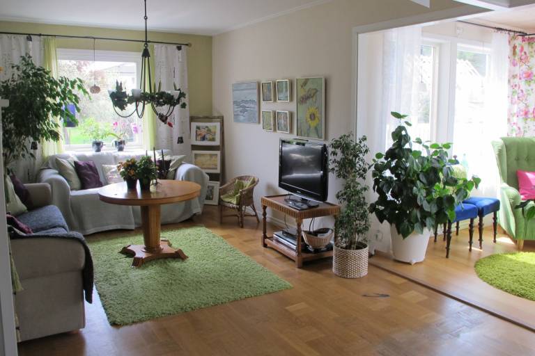 foto7