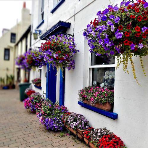 Bed & Breakfast Guernsey