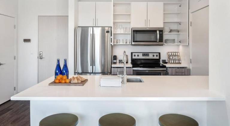 Hyatus Luxury Residences Boston South Bay Designer Collection — photo 5