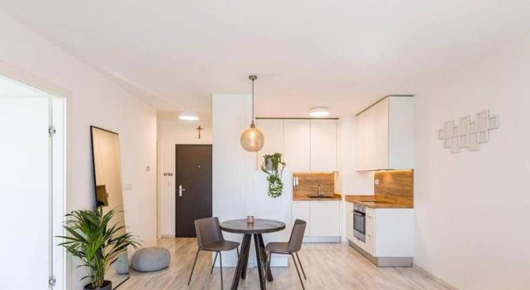 Beautiful holiday apartment | Pets are welcome — photo 5