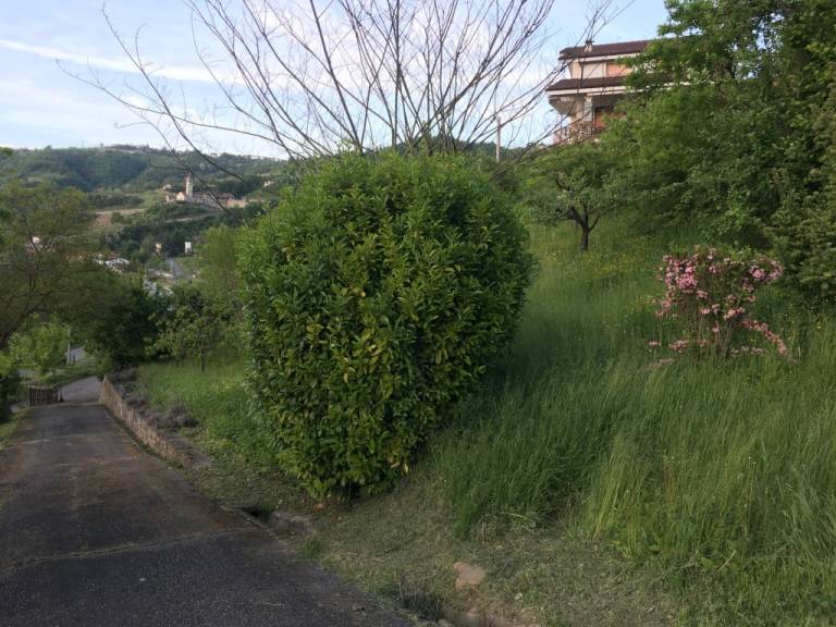 foto17