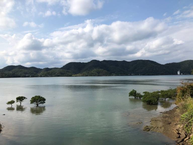 House Kasaricho Oaza Tekebu