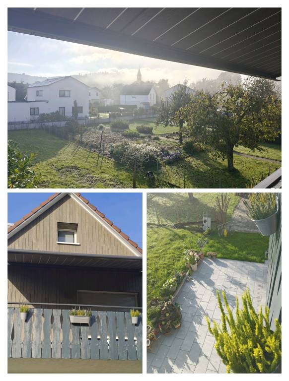 foto36