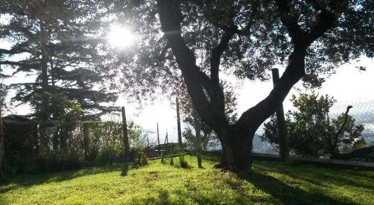 foto7