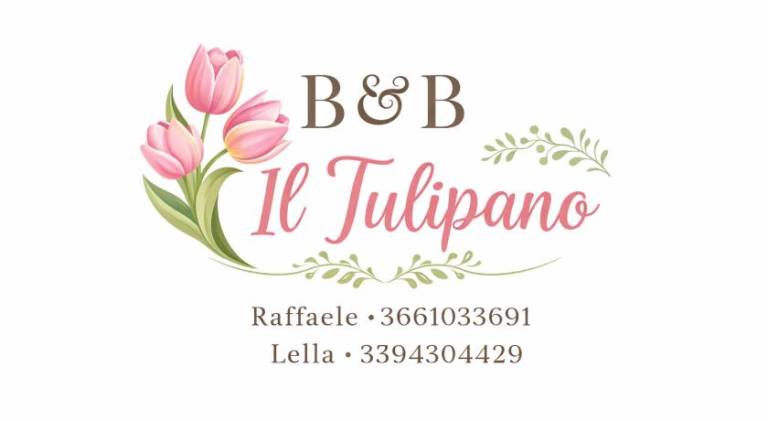 Il Tulipano Camera con bagno privato a Marcianise in Capua