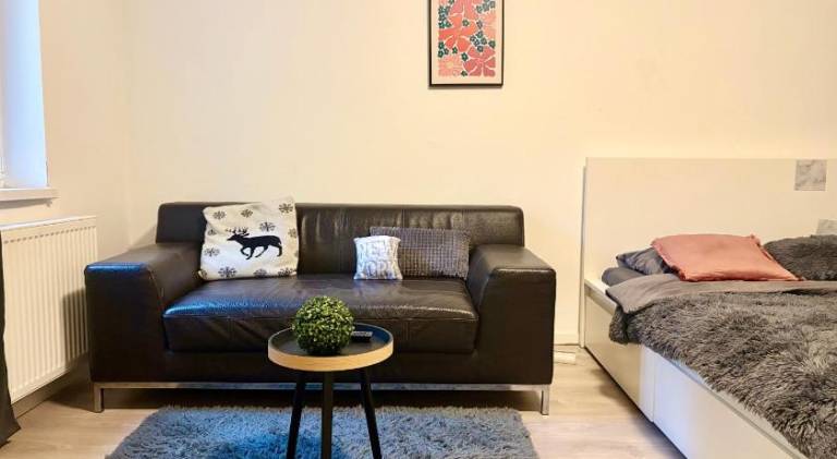 Pleasant holiday apartment | Close to Blue Church | Pets are welcome in Bratislava